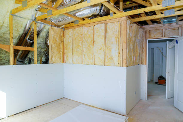 Eco-Friendly or Green Insulation Solutions in Tangerine, FL